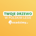 Nowa nagroda w aplikacji Olejomaty: Twoje drzewo w polskim lesie